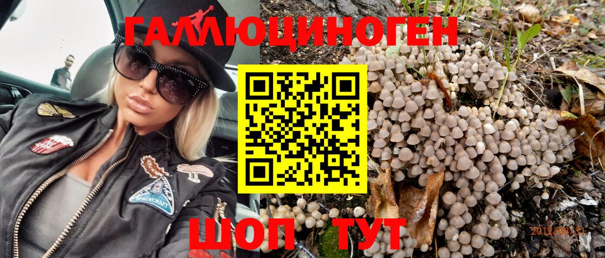 Псилоцибиновые грибы мицелий  Псилоцибиновые грибы Psilocybe  Когалым  Вход с VPN 